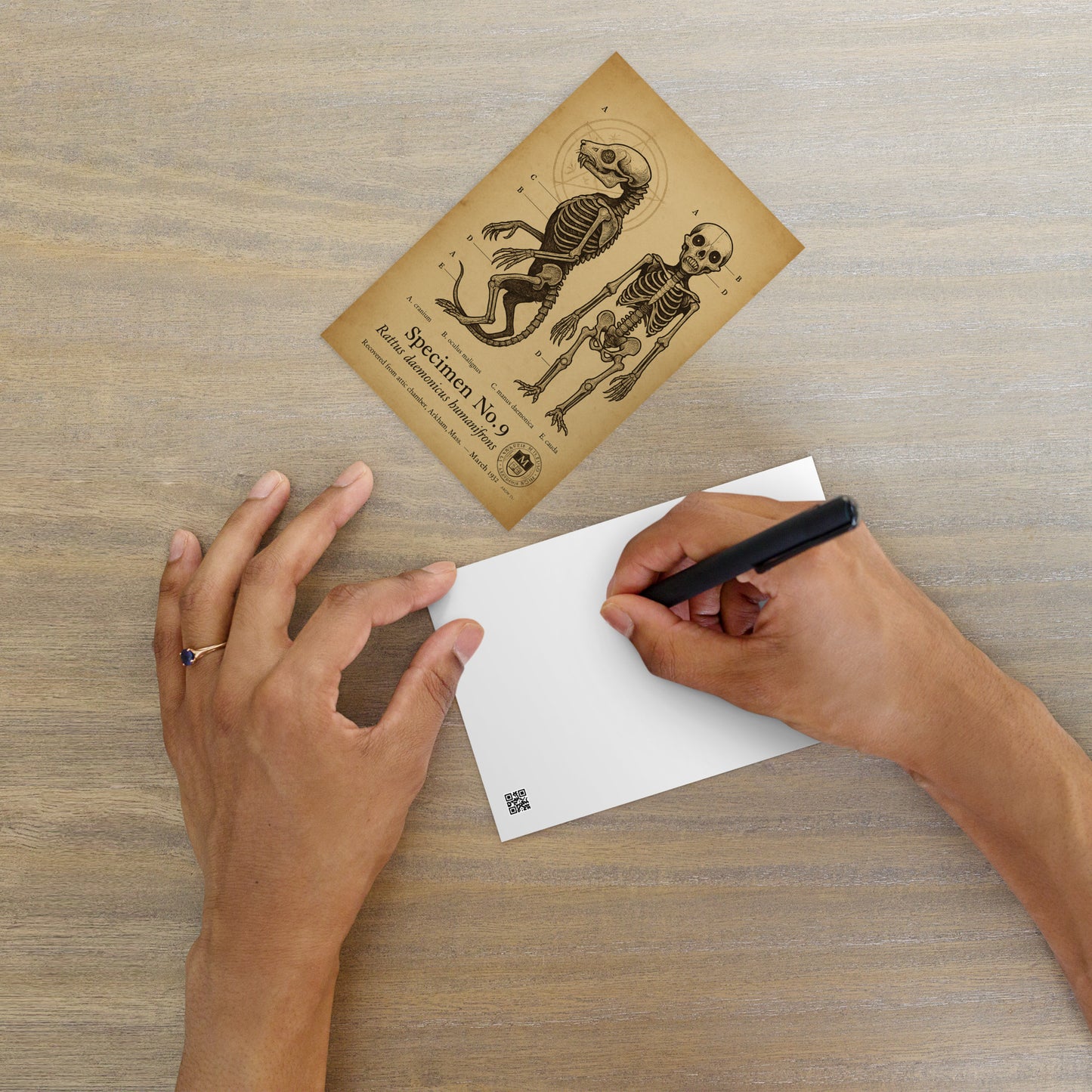 Anatomische Befunde: Brown Jenkin-Exemplar Nr. 17, Standardpostkarte des Miskatonic-Archivs